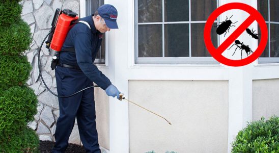 Yavuzeli Böcek ve Haşere İlaçlama böcek ilaçlama ve haşere kontrolü — ilaclama-tr.com